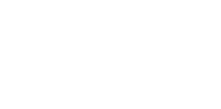 endesa